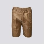 BVS School Shorts