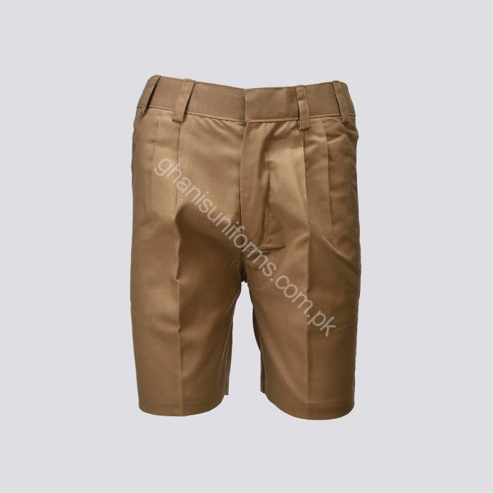 BVS School Shorts - Image 1