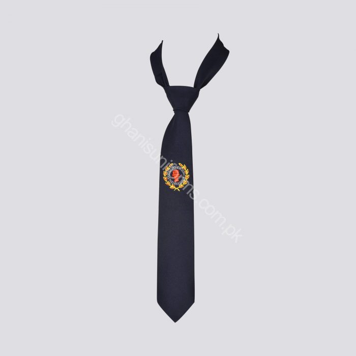 BVS TIE BVS School Tie - Image 1