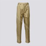Aster School Pants Boys (Elastic) Secondary