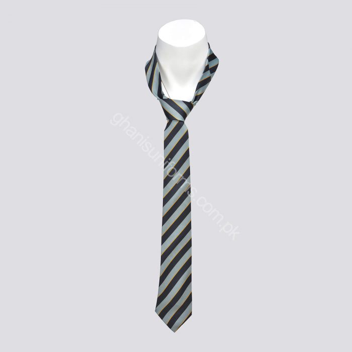 The First Step Schooling System Tie Boys - Image 1
