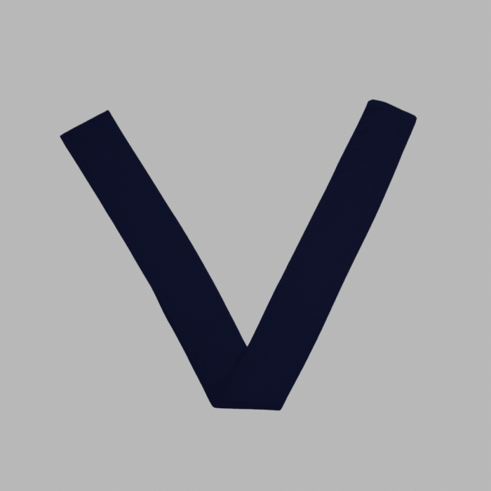 Froebel School Vee Girls - Image 1