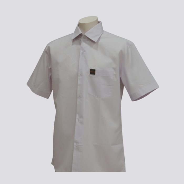 Alpha High School Shirt Boys Half Sleeves