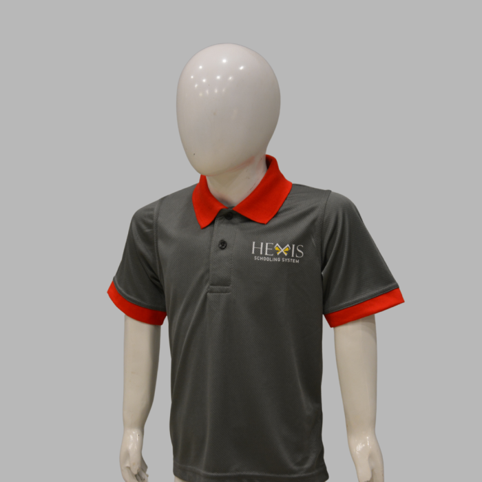 Hexis School T-Shirt Sports - Image 3
