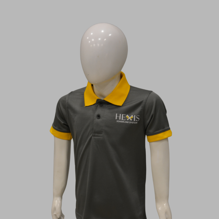 Hexis School T-Shirt Sports - Image 4