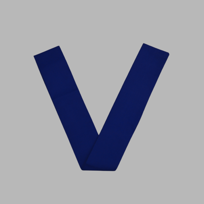 Bright Career School Vee Girls - Image 1