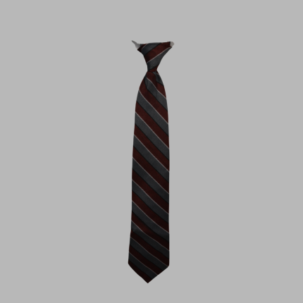 Mrs. Noor School Tie Boys