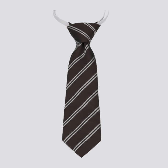 National High School Tie Boys