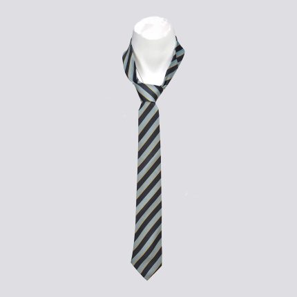 Orchard Grammer School Tie Boys