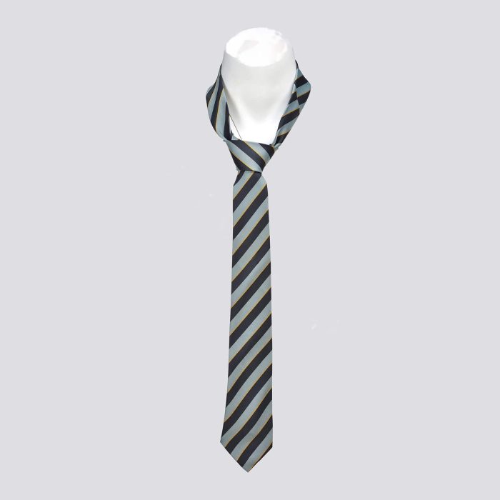 Orchard Grammer School Tie Boys - Image 1