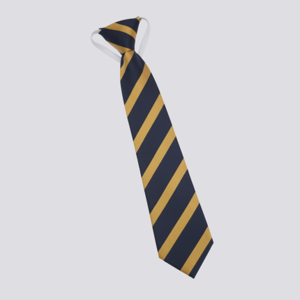 SM Public School Tie Boys