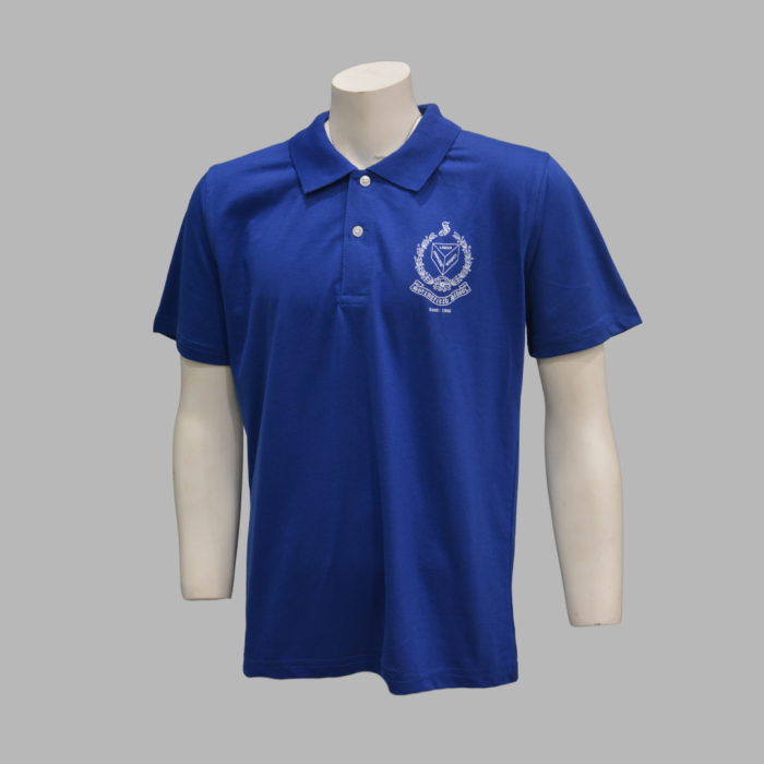 Springfield School T-Shirt Boys/Girls Sports Class 5 - Image 1