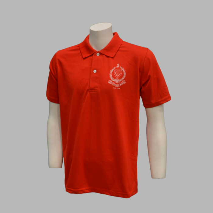 Springfield School T-Shirt Boys/Girls Sports Class 6 - Image 1