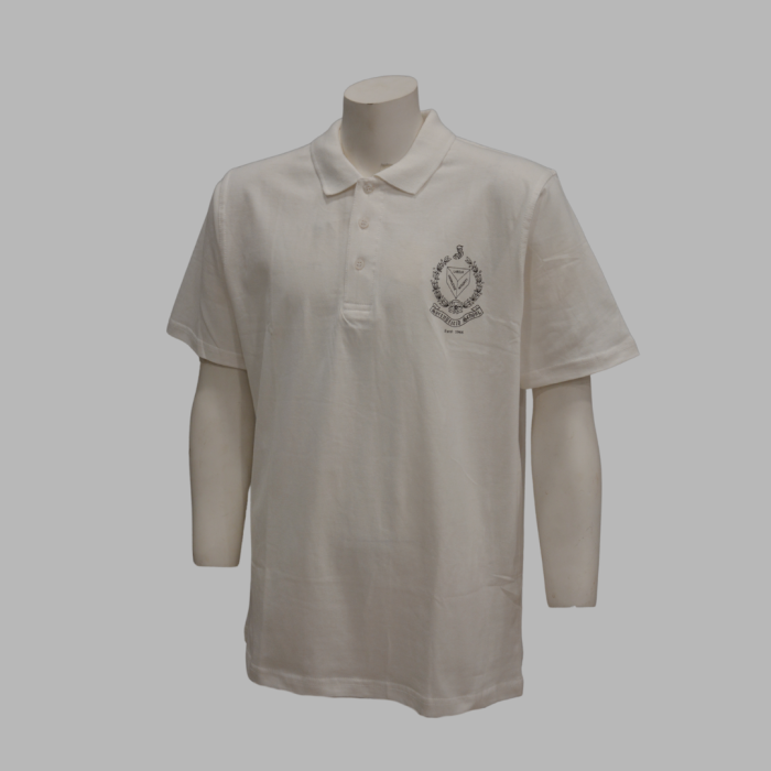 Springfield School T-Shirt Boys/Girls Sports Class 8 To 10 - Image 1
