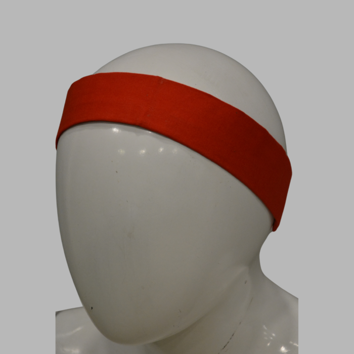 Trueman School Hair Band Girls - Image 1