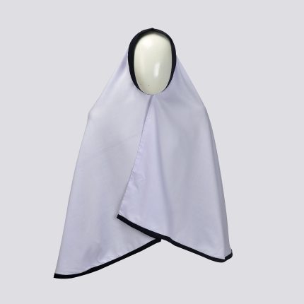 DMS School Makhna Girls