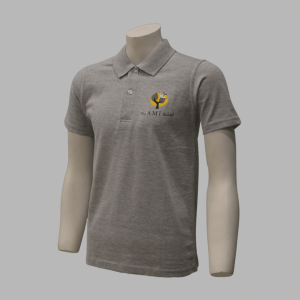 AMI School Class 7 to Onwards Sports T-Shirt