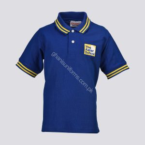 Aster School T-Shirt Boys Secondary