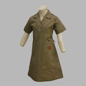 Avicenna School Shirt Girls Half Sleeves Frock
