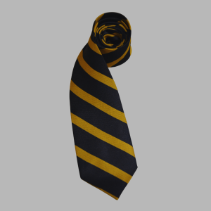 Bahria College Tie Boys
