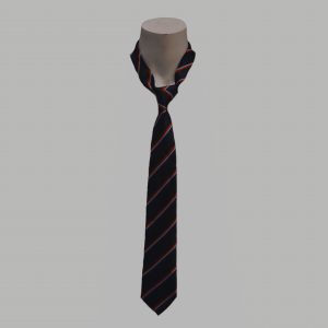 DM Montessori School Tie Boys