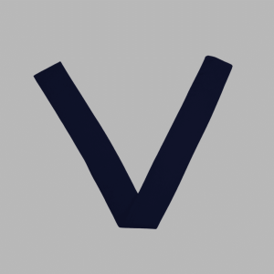 Froebel School Vee Girls