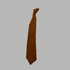 Greenwich Public School Girls Tie