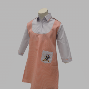 Inspiration Model School Shirt Girls Full Sleeves A/Line