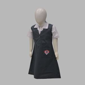 Orchard Grammer School Tunic Blouse Girls Class 2 And 3