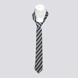 Rangers Public School Tie Boys