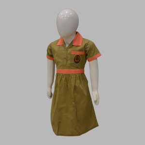 Springfield School Frock Girls Class 1 To 4