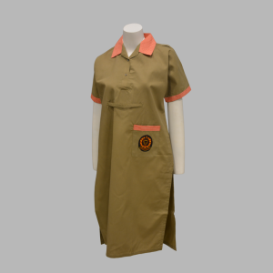 Springfield School Shirt Girls Half Sleeves Chalk Class 7 To 10