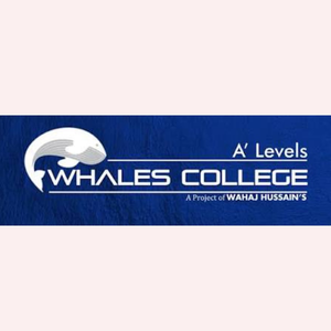 Whales College